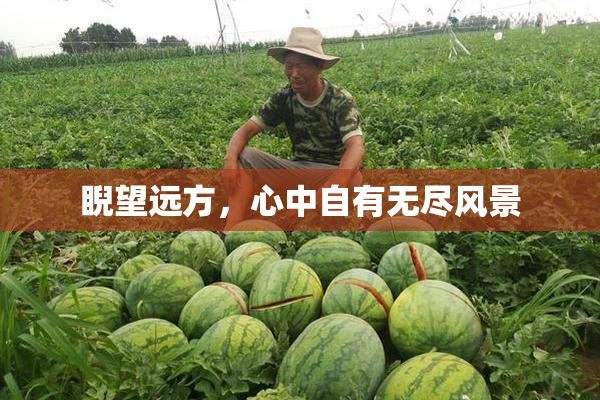 睨望远方，心中自有无尽风景