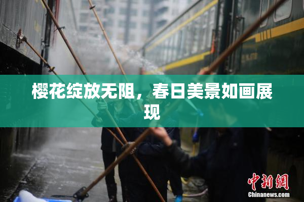 樱花绽放无阻，春日美景如画展现