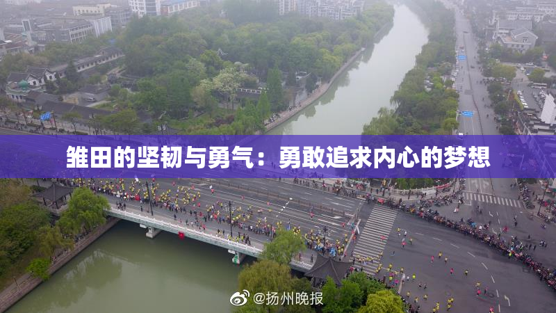雏田的坚韧与勇气：勇敢追求内心的梦想