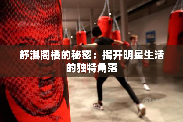 舒淇阁楼的秘密：揭开明星生活的独特角落
