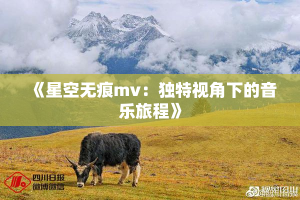 《星空无痕mv：独特视角下的音乐旅程》
