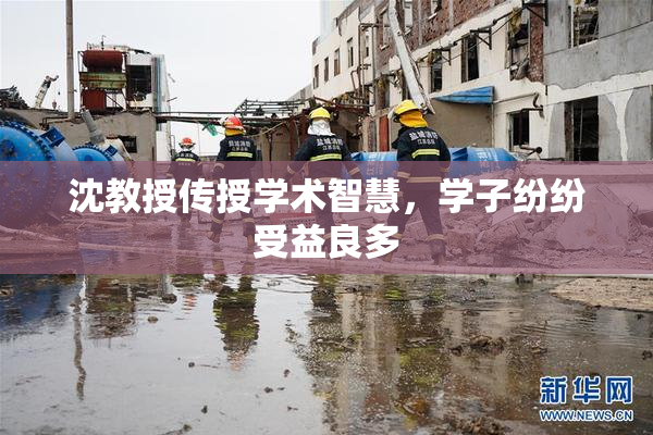 沈教授传授学术智慧，学子纷纷受益良多