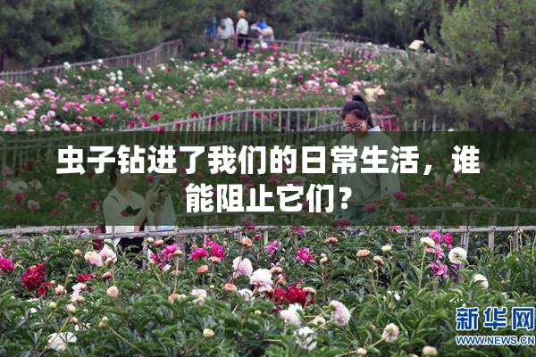 虫子钻进了我们的日常生活，谁能阻止它们？