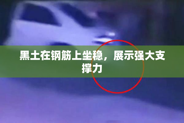 黑土在钢筋上坐稳，展示强大支撑力