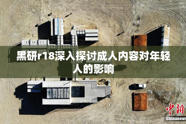 黑研r18深入探讨成人内容对年轻人的影响