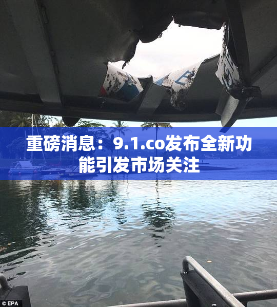 重磅消息：9.1.co发布全新功能引发市场关注