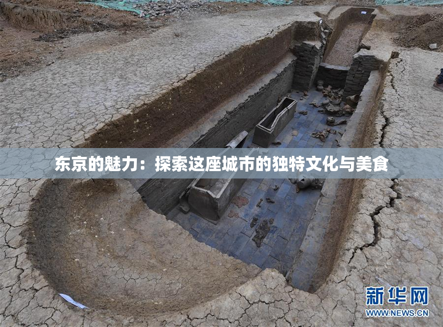 东京的魅力：探索这座城市的独特文化与美食