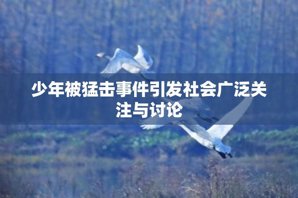 少年被猛击事件引发社会广泛关注与讨论