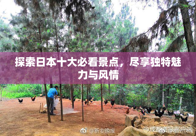 探索日本十大必看景点，尽享独特魅力与风情
