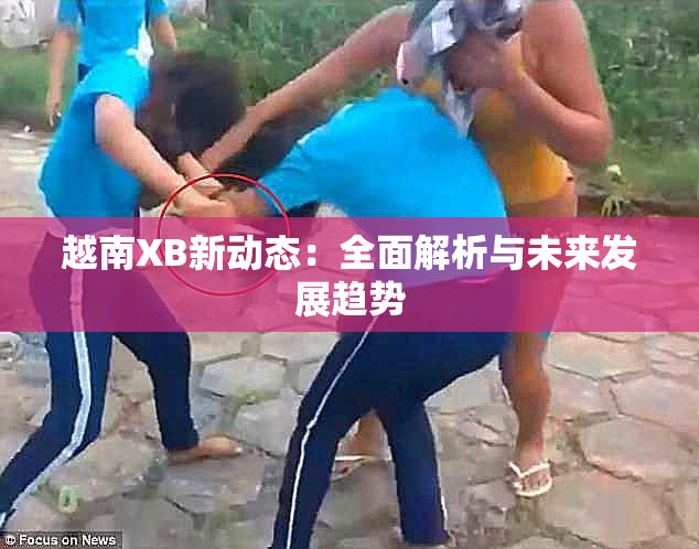 越南XB新动态：全面解析与未来发展趋势