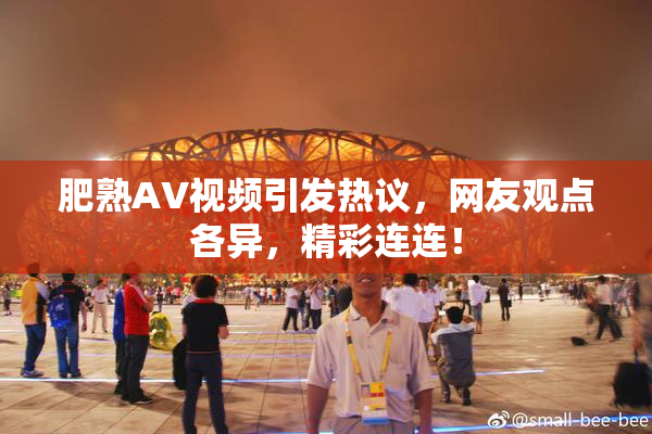 肥熟AV视频引发热议，网友观点各异，精彩连连！