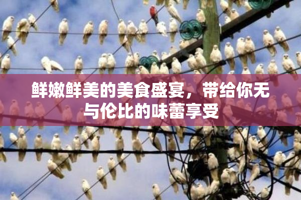 鲜嫩鲜美的美食盛宴，带给你无与伦比的味蕾享受