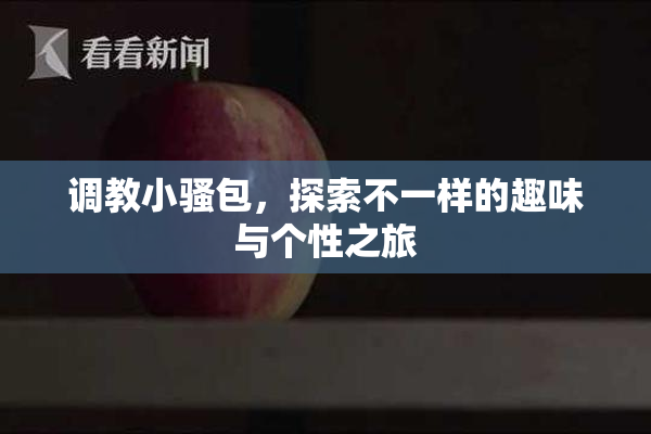调教小骚包，探索不一样的趣味与个性之旅