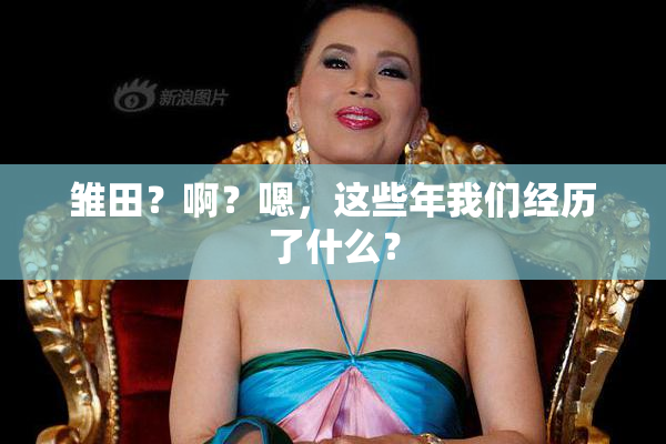 雏田？啊？嗯，这些年我们经历了什么？