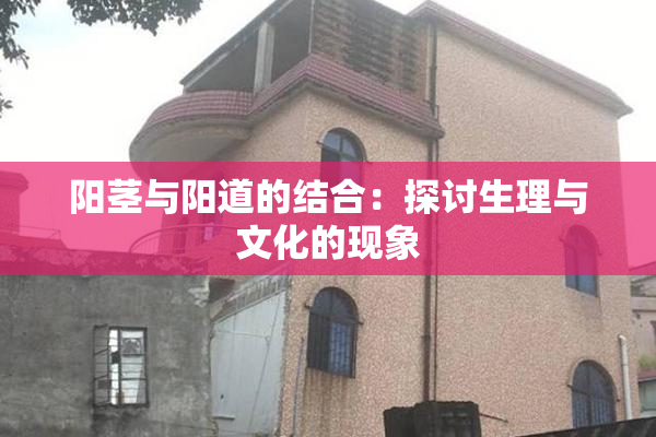 阳茎与阳道的结合：探讨生理与文化的现象