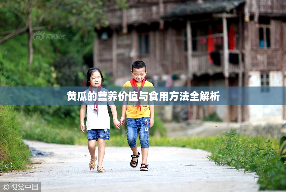 黄瓜的营养价值与食用方法全解析