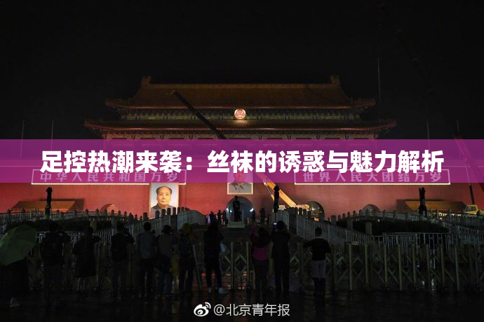 足控热潮来袭：丝袜的诱惑与魅力解析