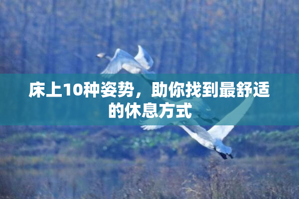 床上10种姿势，助你找到最舒适的休息方式