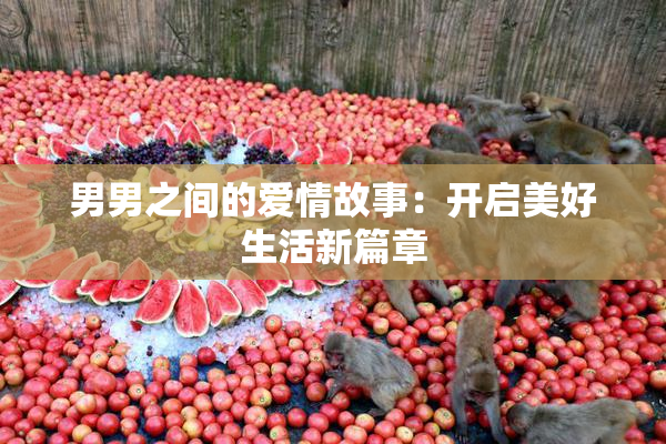 男男之间的爱情故事：开启美好生活新篇章