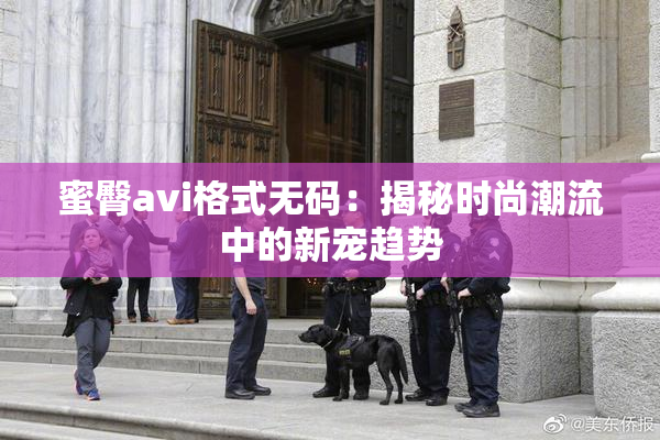 蜜臀avi格式无码：揭秘时尚潮流中的新宠趋势