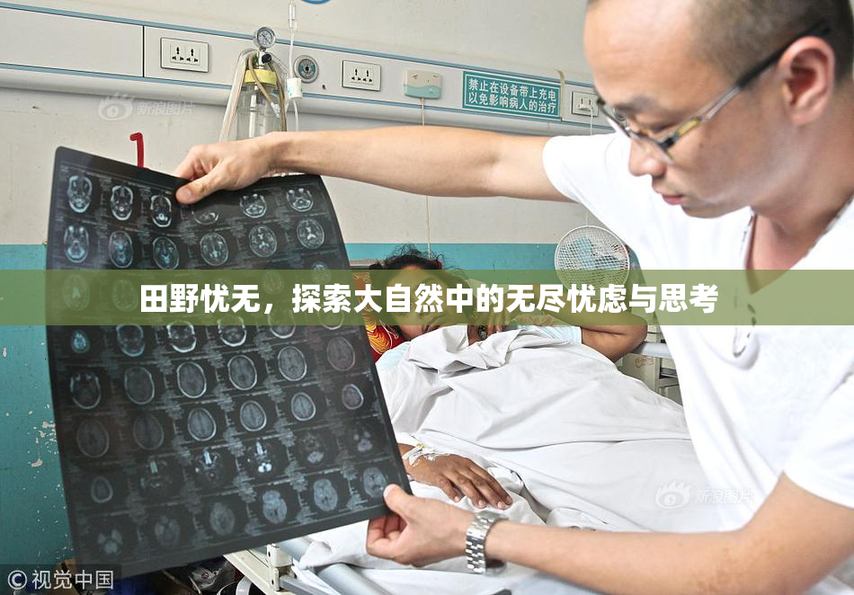 田野忧无，探索大自然中的无尽忧虑与思考