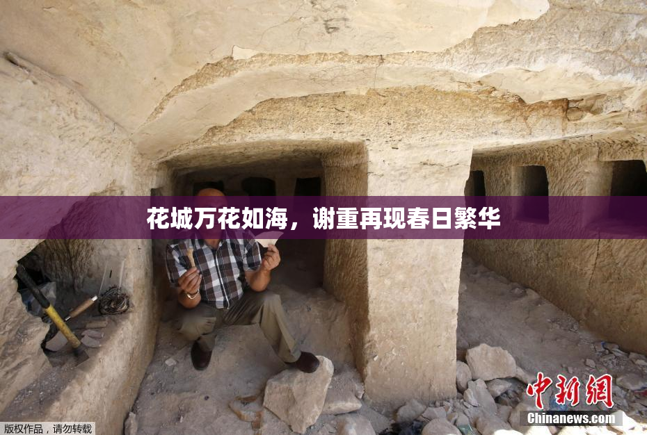 花城万花如海，谢重再现春日繁华