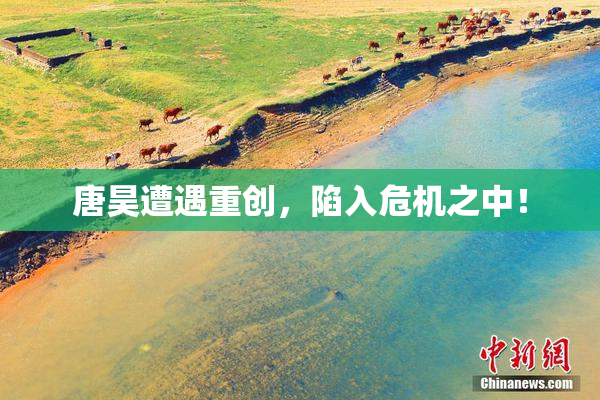 唐昊遭遇重创，陷入危机之中！