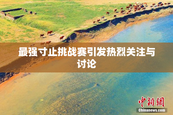 最强寸止挑战赛引发热烈关注与讨论