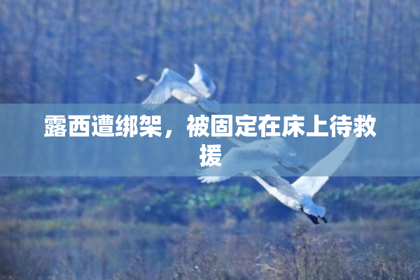 露西遭绑架，被固定在床上待救援