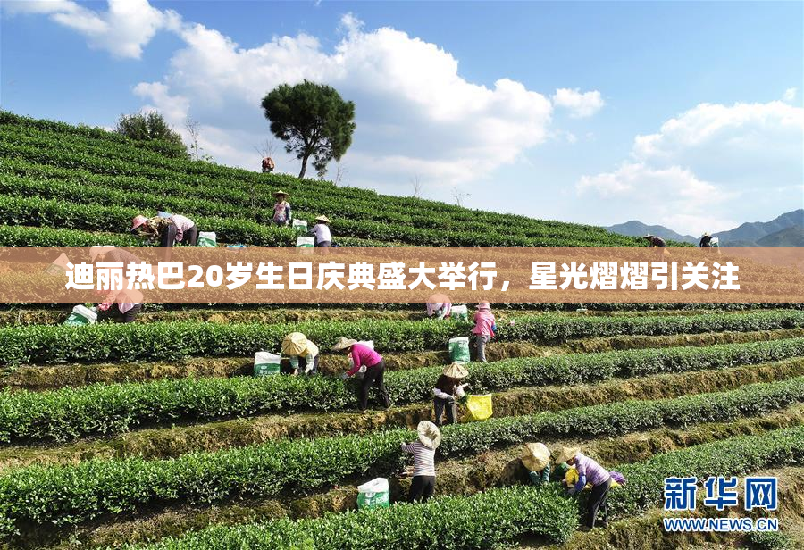 迪丽热巴20岁生日庆典盛大举行，星光熠熠引关注