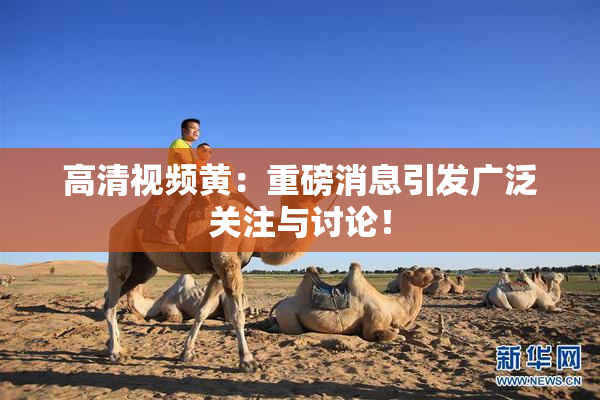 高清视频黄：重磅消息引发广泛关注与讨论！