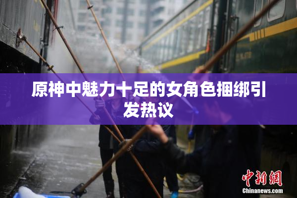 原神中魅力十足的女角色捆绑引发热议