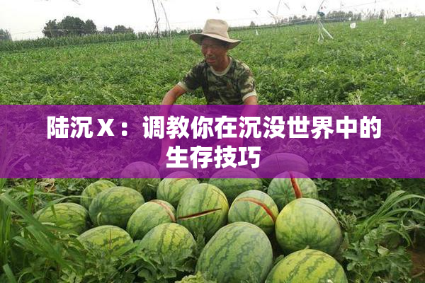 陆沉Ⅹ：调教你在沉没世界中的生存技巧