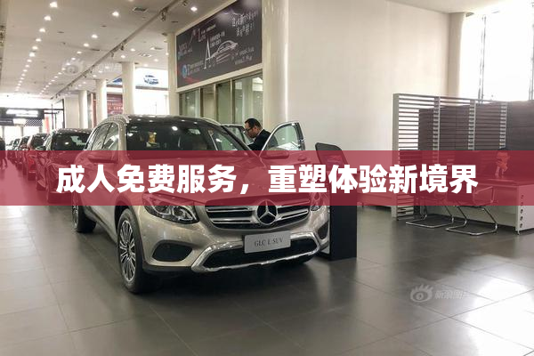 成人免费服务，重塑体验新境界