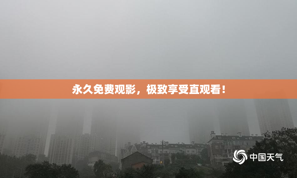 永久免费观影，极致享受直观看！