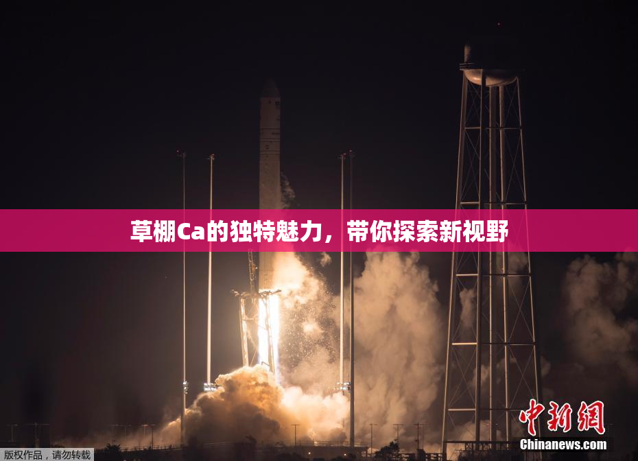 草棚Ca的独特魅力，带你探索新视野