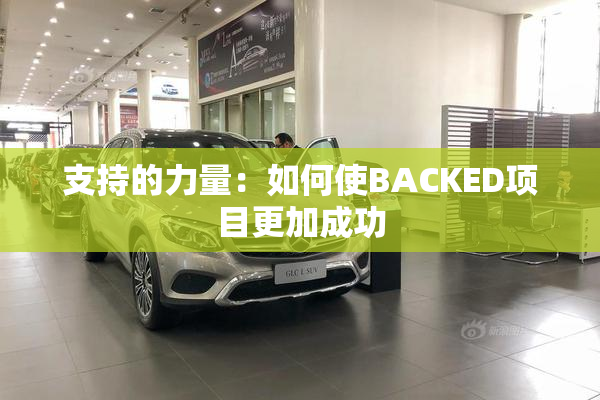 支持的力量：如何使BACKED项目更加成功