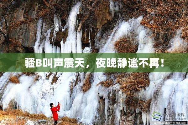 骚B叫声震天，夜晚静谧不再！