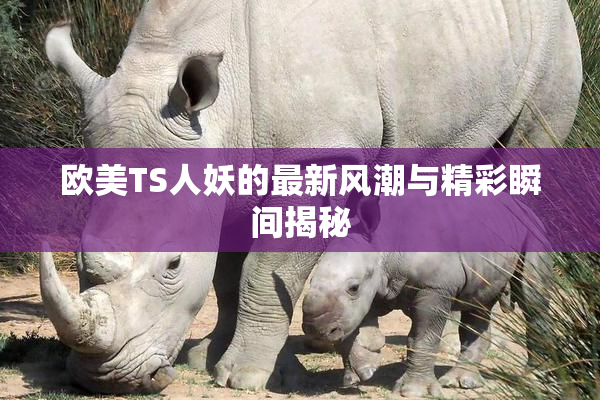 欧美TS人妖的最新风潮与精彩瞬间揭秘