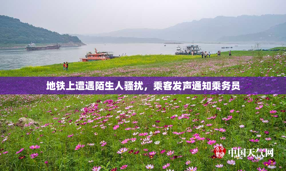 地铁上遭遇陌生人骚扰，乘客发声通知乘务员
