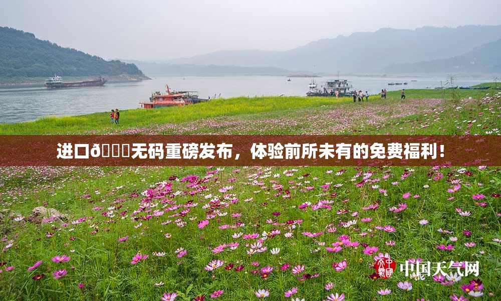 进口🔞无码重磅发布，体验前所未有的免费福利！