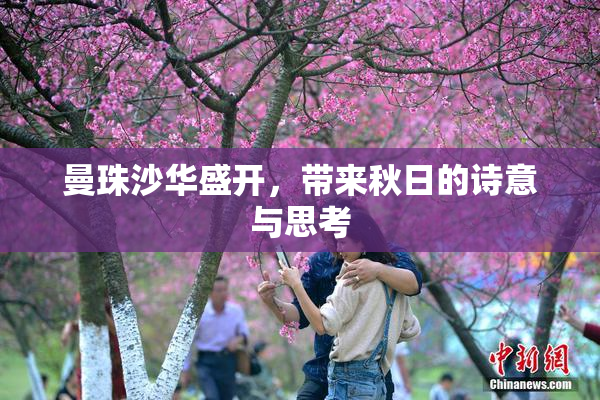 曼珠沙华盛开，带来秋日的诗意与思考