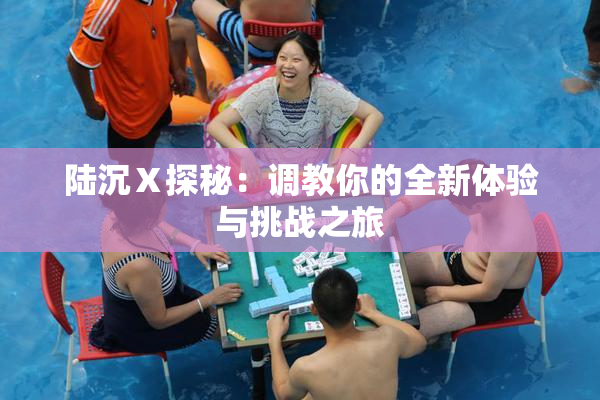 陆沉Ⅹ探秘：调教你的全新体验与挑战之旅