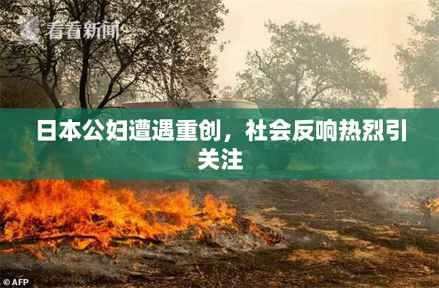 日本公妇遭遇重创，社会反响热烈引关注