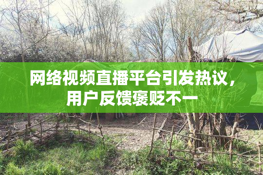 网络视频直播平台引发热议，用户反馈褒贬不一