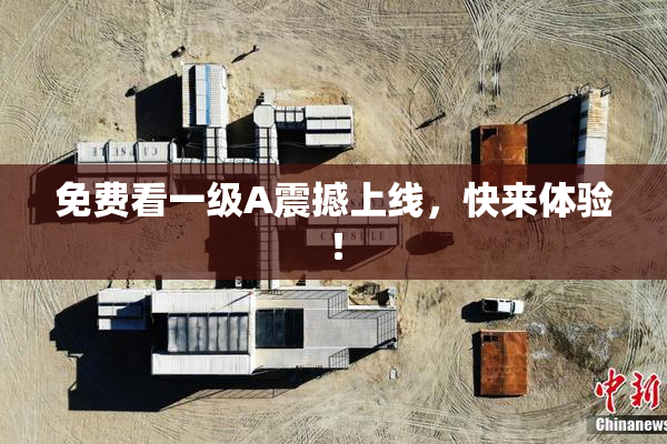 免费看一级A震撼上线，快来体验！