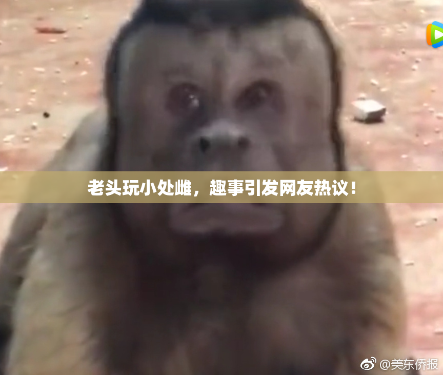 老头玩小处雌，趣事引发网友热议！