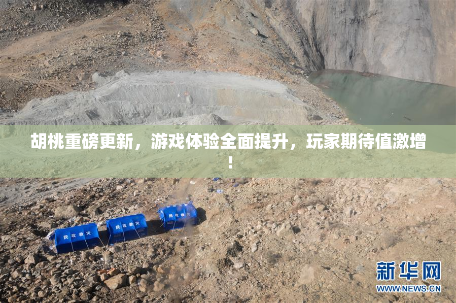 胡桃重磅更新，游戏体验全面提升，玩家期待值激增！