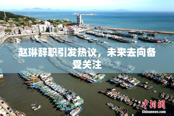 赵琳辞职引发热议，未来去向备受关注