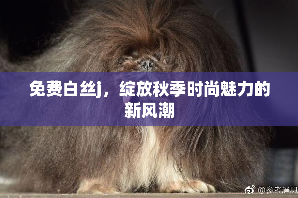 免费白丝j，绽放秋季时尚魅力的新风潮